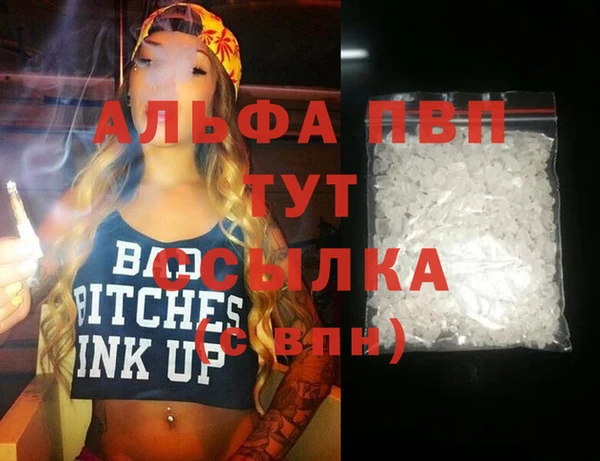 гашик Абаза