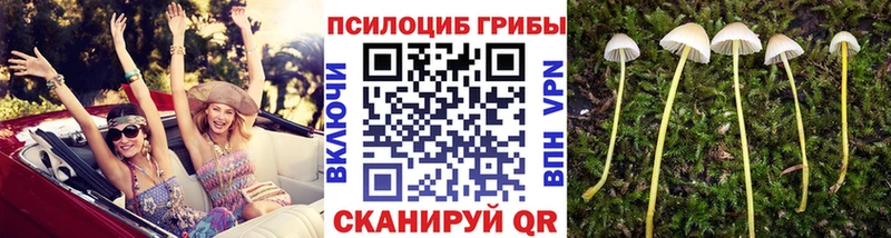 купить наркотик  Чухлома  Галлюциногенные грибы мухоморы 